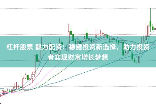 杠杆股票 毅力配资：稳健投资新选择，助力投资者实现财富增长梦想