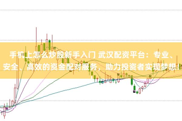 手机上怎么炒股新手入门 武汉配资平台：专业、安全、高效的资金配对服务，助力投资者实现梦想！