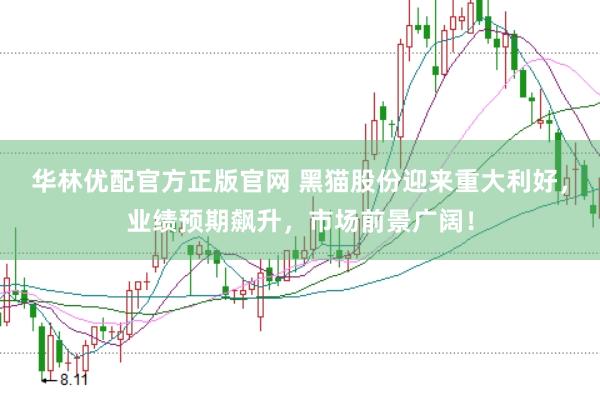华林优配官方正版官网 黑猫股份迎来重大利好，业绩预期飙升，市场前景广阔！