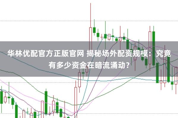 华林优配官方正版官网 揭秘场外配资规模：究竟有多少资金在暗流涌动？