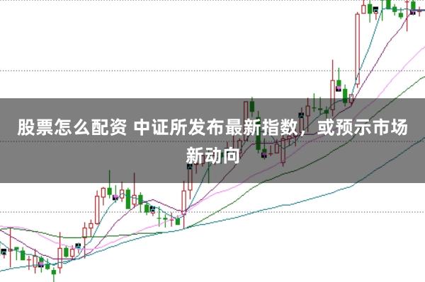 股票怎么配资 中证所发布最新指数，或预示市场新动向
