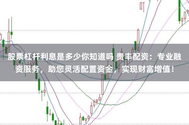 股票杠杆利息是多少你知道吗 贵丰配资：专业融资服务，助您灵活配置资金，实现财富增值！