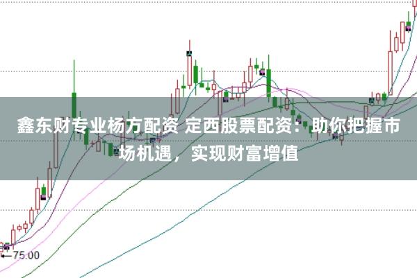 鑫东财专业杨方配资 定西股票配资：助你把握市场机遇，实现财富增值