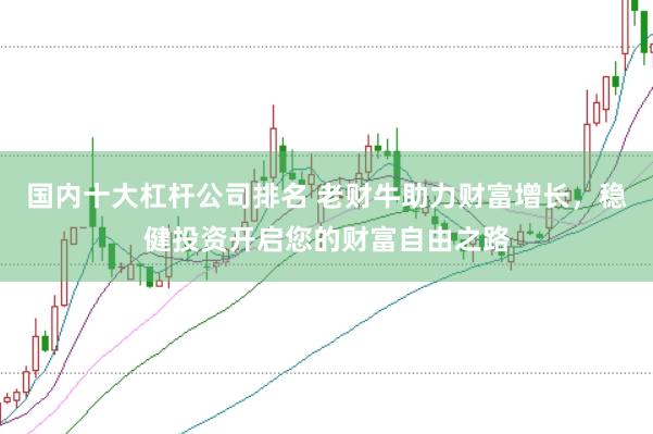 国内十大杠杆公司排名 老财牛助力财富增长，稳健投资开启您的财富自由之路