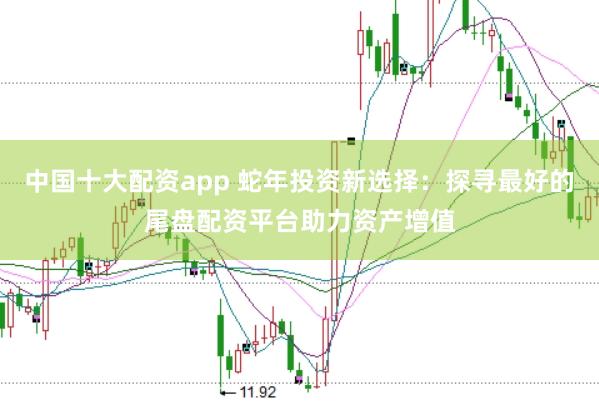中国十大配资app 蛇年投资新选择：探寻最好的尾盘配资平台助力资产增值