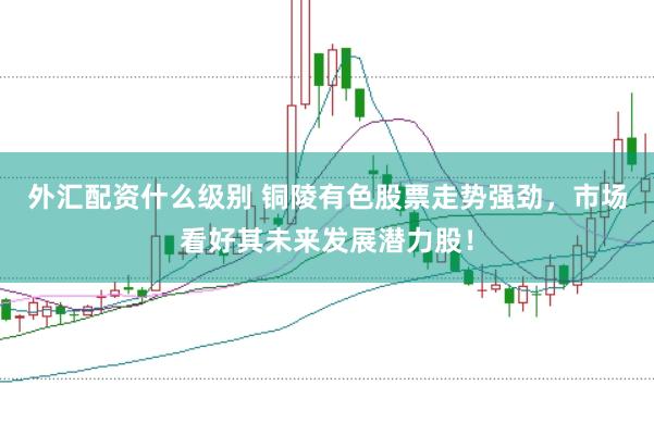 外汇配资什么级别 铜陵有色股票走势强劲，市场看好其未来发展潜力股！