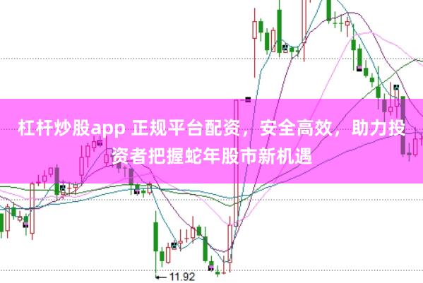 杠杆炒股app 正规平台配资，安全高效，助力投资者把握蛇年股市新机遇