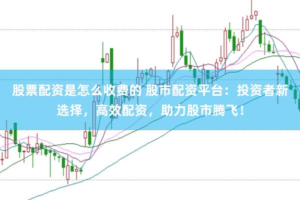 股票配资是怎么收费的 股市配资平台：投资者新选择，高效配资，助力股市腾飞！