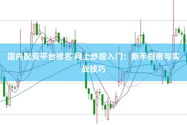 国内配资平台排名 网上炒股入门：新手指南与实战技巧