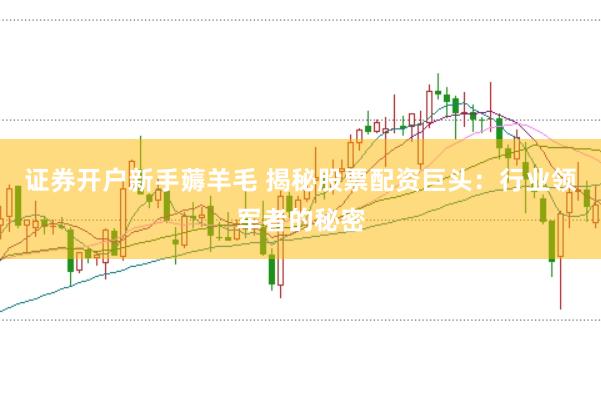 证券开户新手薅羊毛 揭秘股票配资巨头：行业领军者的秘密