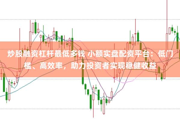 炒股融资杠杆最低多钱 小额实盘配资平台:低门槛、高效率,助力投资者实现稳健收益