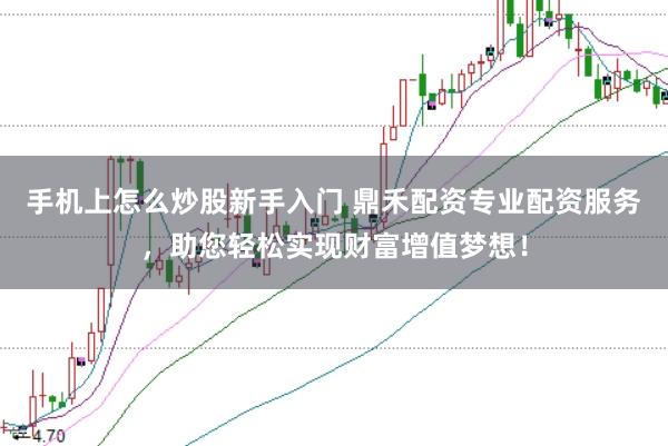 手机上怎么炒股新手入门 鼎禾配资专业配资服务，助您轻松实现财富增值梦想！