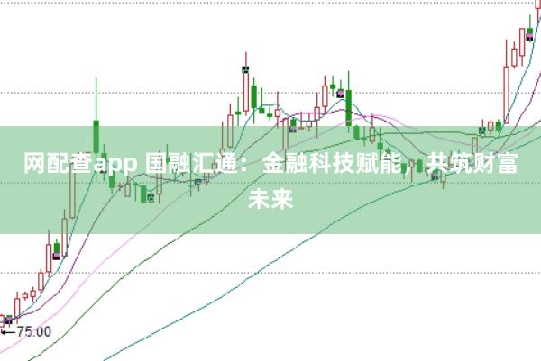 网配查app 国融汇通:金融科技赋能,共筑财富未来