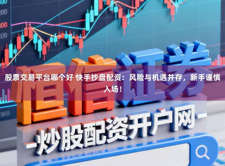 股票交易平台哪个好 快手抄盘配资：风险与机遇并存，新手谨慎入场！
