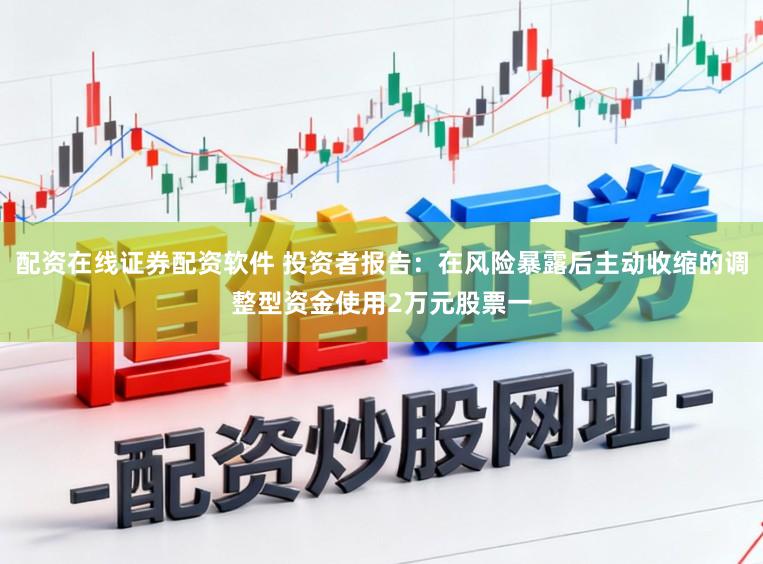 配资在线证券配资软件 投资者报告：在风险暴露后主动收缩的调整型资金使用2万元股票一